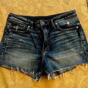 Silver sun thong shorts size 29